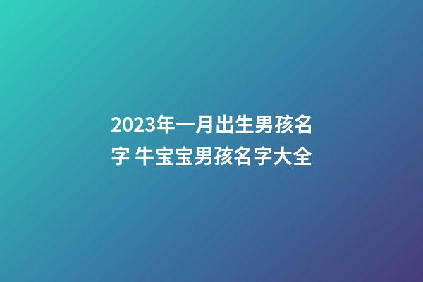 2023年一月出生男孩名字 牛宝宝男孩名字大全